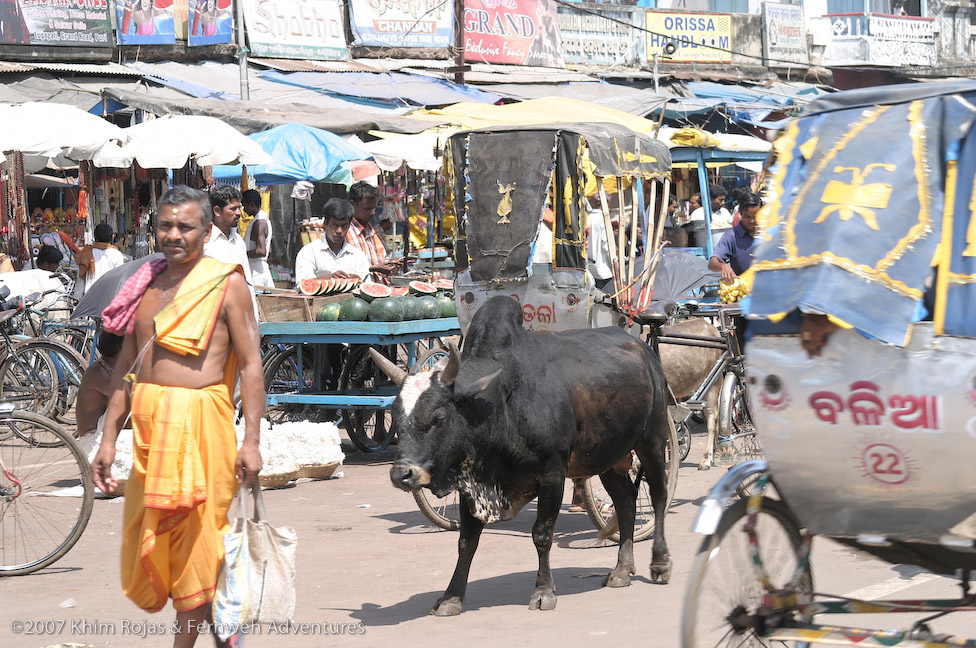 Streetscenes, Puri